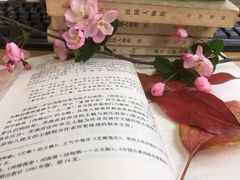 -邊城書店
