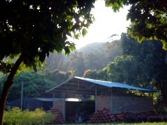 android_upload_pic-南沙天后宫景区