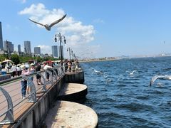 -大连海昌东方水城