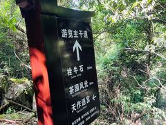 -石台牯牛降景区