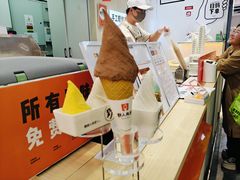 -野人先生现做冰淇淋(西安赛格店)