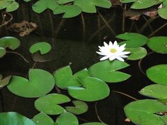 -苏州上方山国家森林公园