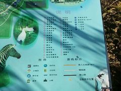 -石家庄极地海洋世界