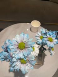 -MIDA蜜哒•科技逆龄美肤连锁