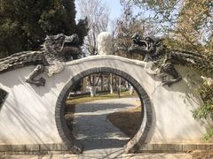 -桃花堤公园