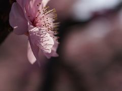 -白塘生态植物园