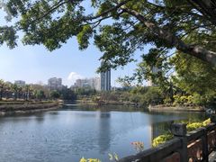 -深圳龙潭公园