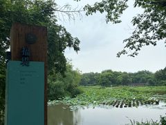 -西溪国家湿地公园