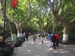 -杭州黄龙洞