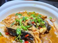 -小小饭店·休闲农庄·安吉松树林里的农家菜