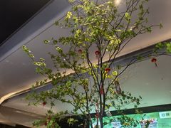 -新兴·金羊座·粤菜点心(乐峰店)