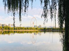 -济南国际园博园