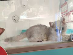-龟与熊猫宠物公园(南坪店)