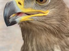 -石家庄市动物园