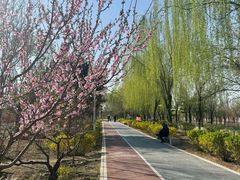 -绿堤公园
