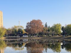 -堤角公园