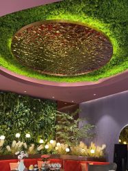 -花隐·美芙炫海菲秀皮肤管理中心