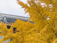 -四川大学(华西校区)