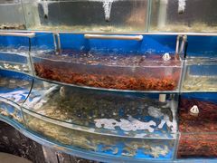 -四海蒸鲜蒸汽海鲜自助(北戴河店)