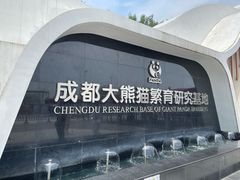 景点-成都大熊猫繁育研究基地
