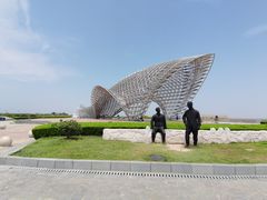 -南汇嘴观海公园