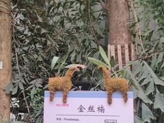 -呀路古热带植物园
