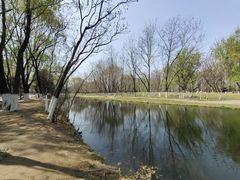 -长白岛森林公园