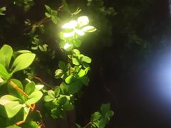 -唐宫足道·SPA·住宿24H会所(木渎店)
