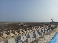 -南汇嘴观海公园