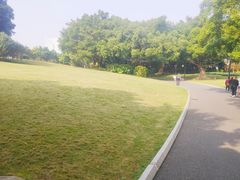 -南宁南湖公园