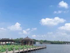 -石家庄市植物园