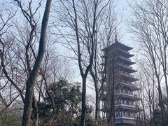 -宜兴龙背山森林公园