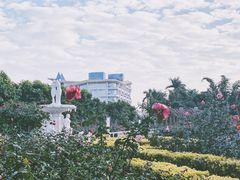 -百万葵园