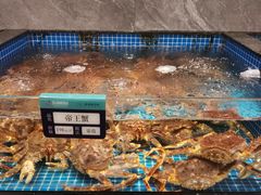 -东海怡品海鲜豆捞(舟宿夜江店)