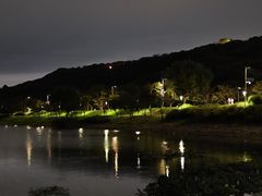 -羊山湖公园