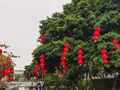 -厦门园林博览苑