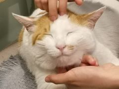 -平行世界·猫咖(首经贸店)