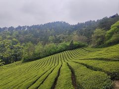 -敬亭山风景名胜区