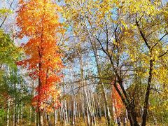 -长春市南湖公园