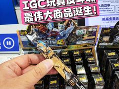 -TOYSRUS玩具反斗城(广州IGC天汇广场店)