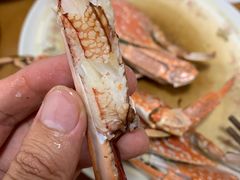 海蟹-王四营海鲜市场