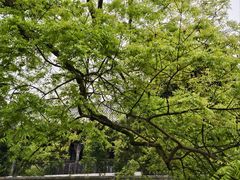 -乐山大佛风景名胜区乌尤寺南门-售票点