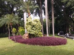 -晓港公园