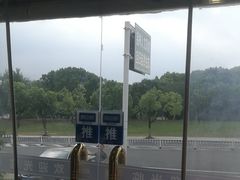 -天乐农家鱼头王(天目湖店)