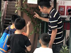-丹樱生态园