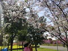 -九里河湿地公园