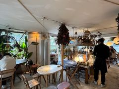 -野草莓自由市场