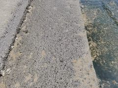 -东戴河风景区