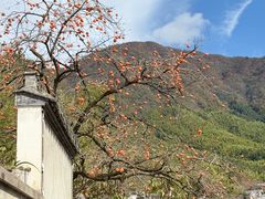 -塔川景区