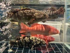 -江滨九号.中餐厅(滨江店)